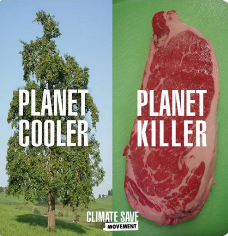 The Science Has Never Been More Clear. 

Please Consider Going 
Plant-Based/Vegan 💚