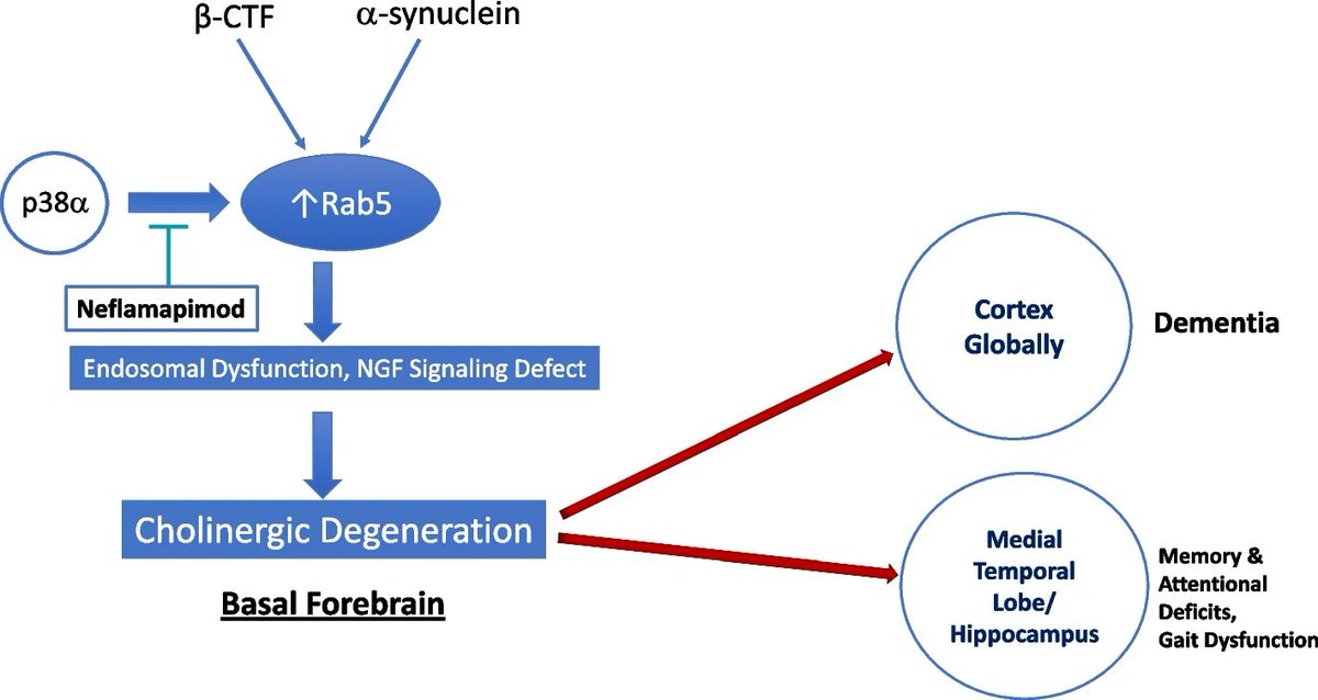 MolNeuro's tweet photo. 'Drug development targeting degeneration of the #basalforebrain #cholinergic system: its time has come'

John J. Alam @Cervo_Med &amp; Ralph A. Nixon @nyulangone

https://t.co/Qh1B2YEDGi https://t.co/LbELLuA8vb