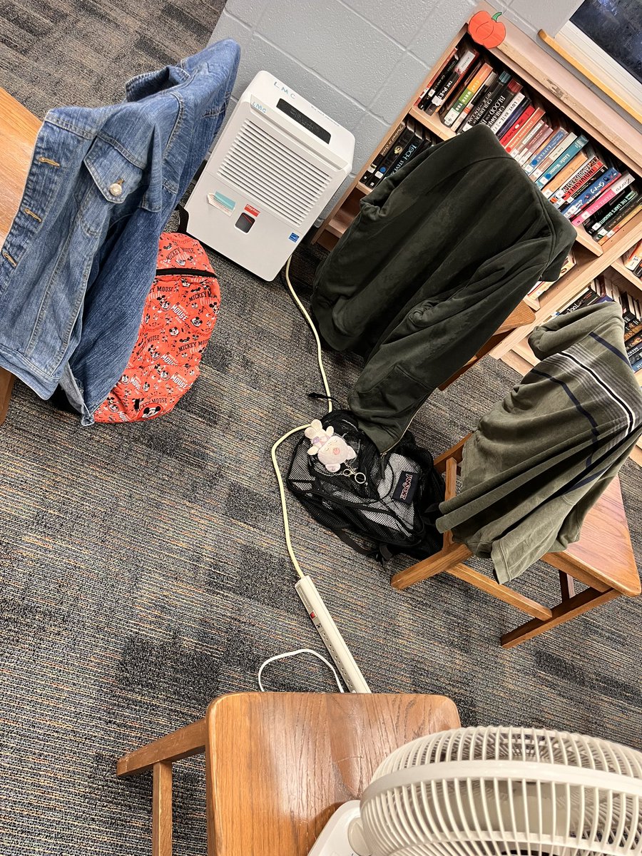 Ms. Velis tweet media