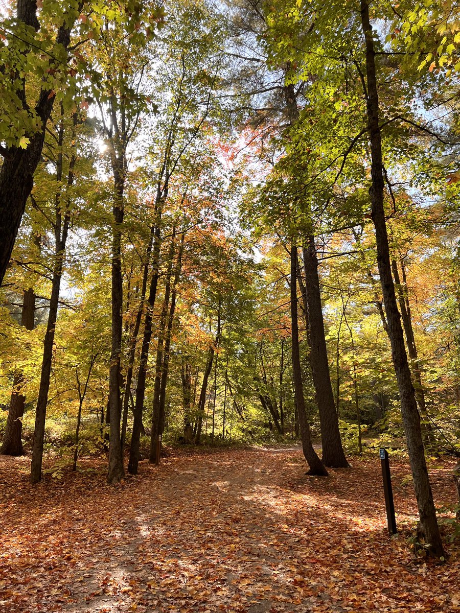 SturgeonBayPP's tweet image. Ready for one last adventure? 🏕️

This Thanksgiving weekend, we currently have 7 Electrical sites and 17 Non-Electrical sites available for booking from Friday - Monday! 

We can’t wait to see you! 🍁
