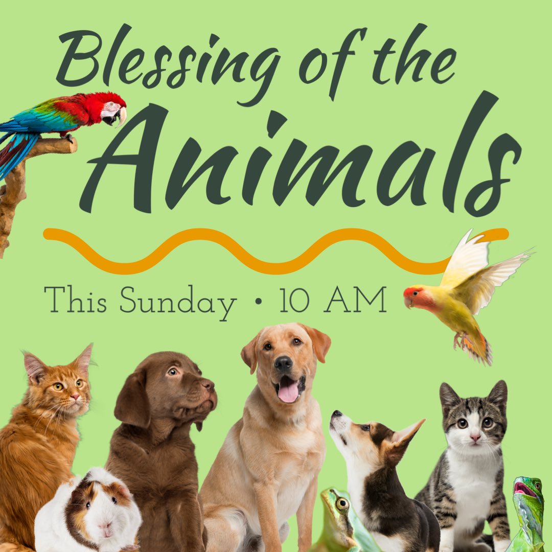 AllSaintsECB's tweet photo. Grab your furry, scaled or stuffed friend, for a Blessing of the Animals THIS SUNDAY at 10 am! All are welcome! 

If you would prefer to bring a photo of your pet, please email it to webmaster@allsaintsepiscopalbayside.org prior to the service. https://t.co/eVxGDsZbfk