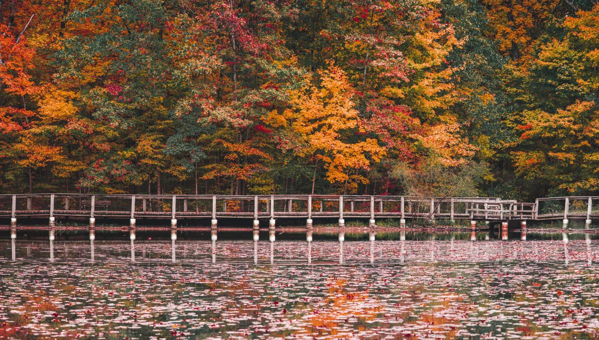 Fall is here and it's a beautiful time of year to explore Fort Wayne.

▶️ bit.ly/3F5W8Ys