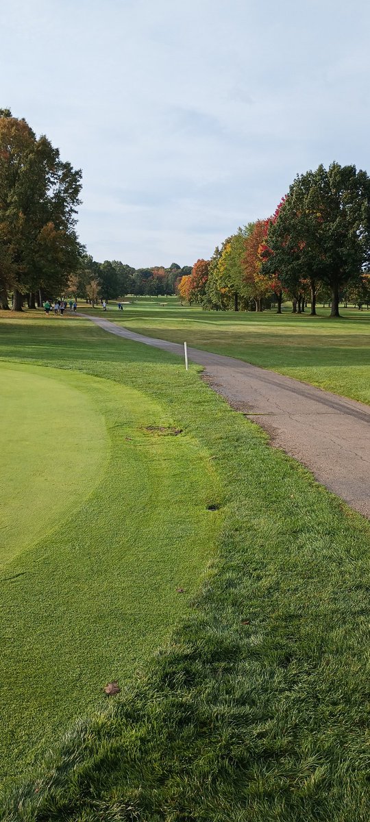 Waterloo Viking Golf tweet media