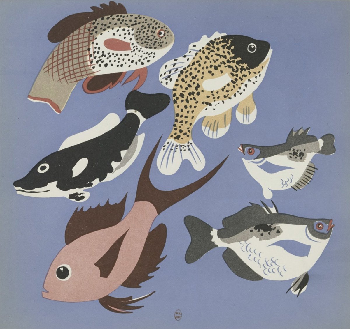 Present & Correct tweet media