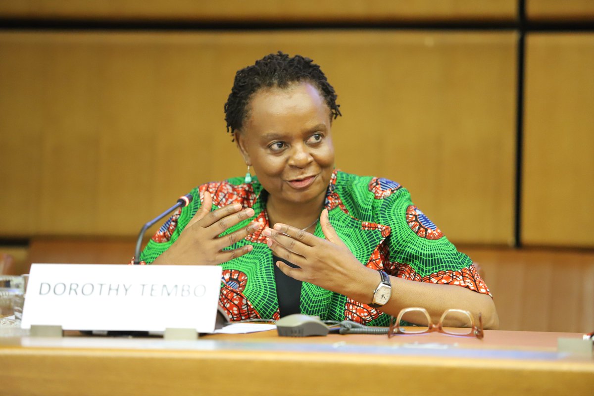 ITCnews's tweet photo. Delivering on cotton’s potential in Africa requires deeper integration, both within regions and throughout the continent. It means a greater focus on sustainability and social inclusion.

Deputy Exec Dir @tembo_dorothy's remarks at #WorldCottonDay event: https://t.co/BdVhru496q https://t.co/xpcIbWTm20