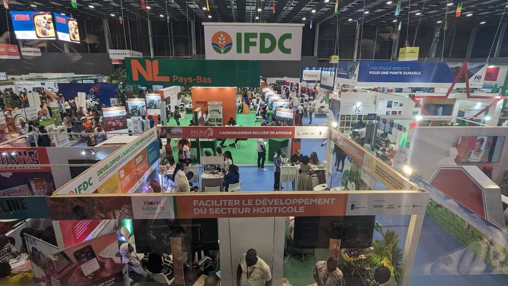 IFDC North and West Africa (ARCHIVED) tweet media