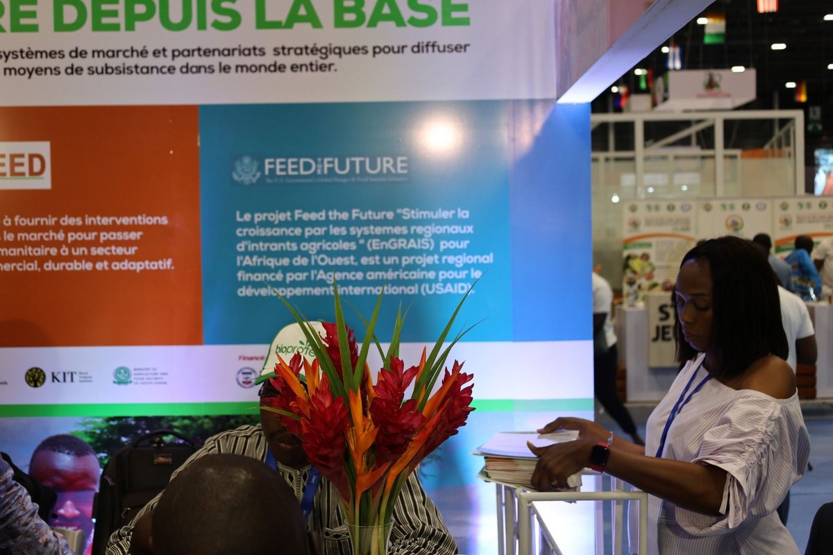 IFDC North and West Africa (ARCHIVED) tweet media