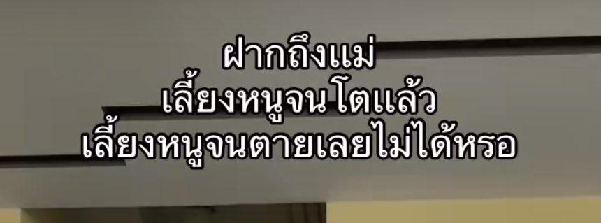 ขอแค่นี้เองนะแม่