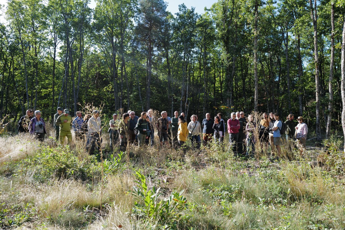 thierrygauquel1's tweet photo. L'@Imbe_marseille ravi d'avoir pu accueillir le Groupe des #Entomologistes Forestiers Francophones (#GEFF) sur le site expérimental de Saint-Christol (Vaucluse) (@Holisoils project @H2020) #Quercus @MathieuSantonja @SolBrasseur @MenivalClaire @CharlotteBiryol @VirginieBaldy https://t.co/J12KY3tzmo