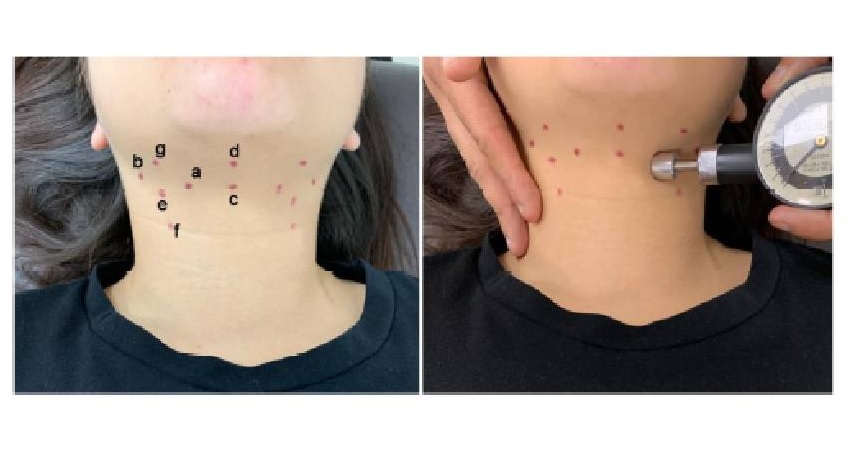 Equipo de Fonoaudiología investigó el umbral de dolor en mujeres con dolencias en la laringe bit.ly/3PGcyeR