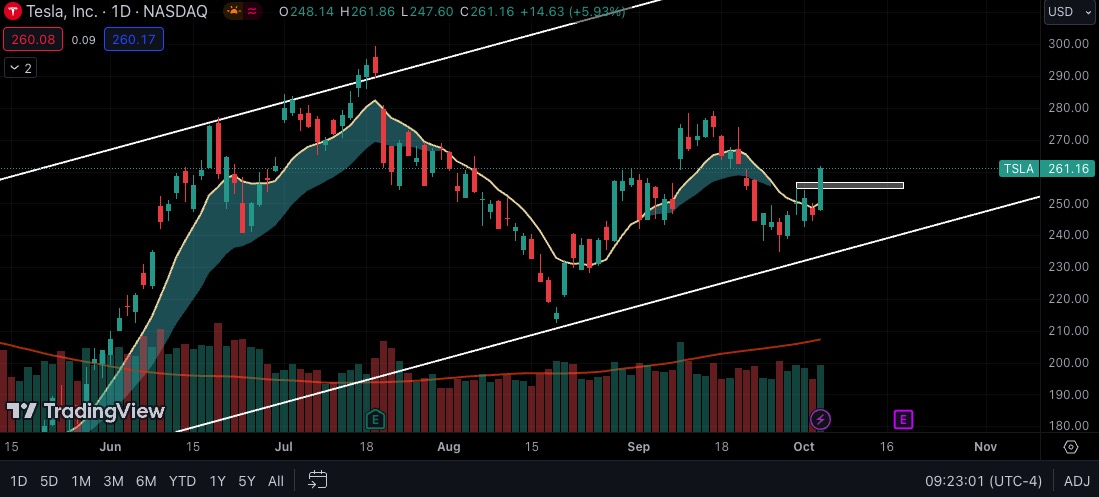ufinz_com's tweet photo. TESLA $TSLA #tesla
Next ?
https://t.co/T2t9dyP3Ls https://t.co/EsoSgVvDaq