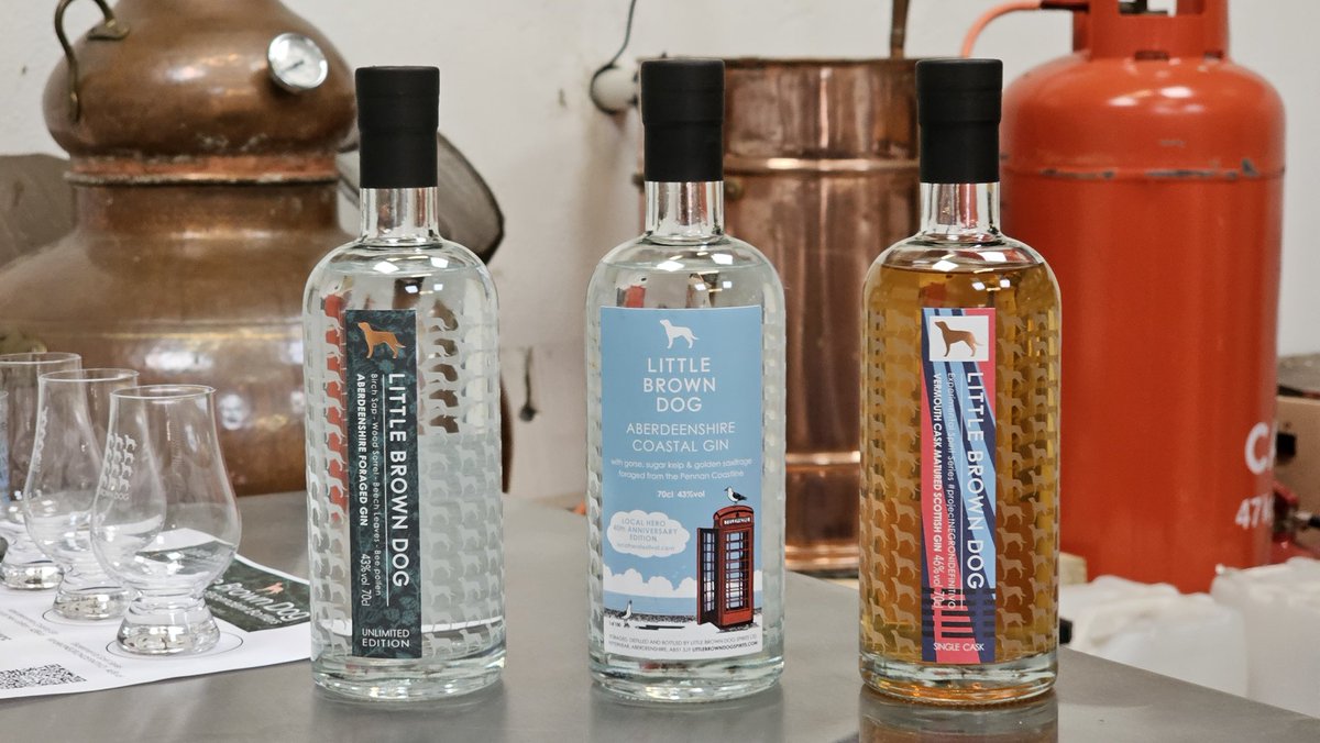 LBDspirits's tweet photo. #provenancefestival 2023
The #ScanYerDram tour, our guests got to visit each of the geotagged botanicals in our Aberdeenshire Foraged Gin, then got to taste them in the finished product. Great day, and the sun shone!
Because our provenance is more provenancy
#LBDGIN https://t.co/Wvk0t4AOAH
