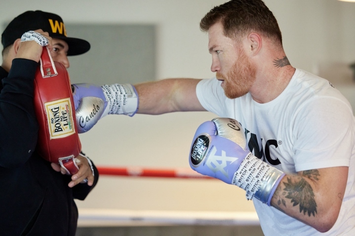 Arum: Canelo Wipes Floor With Crawford; Terence Can’t Hurt Canelo, But Canelo Can Hurt Him dlvr.it/Sx2MYY