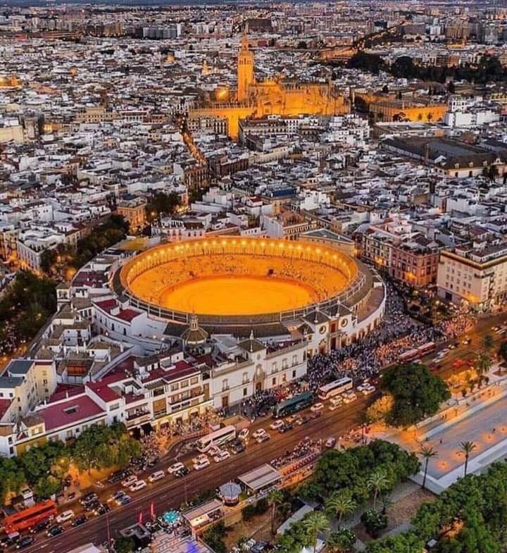 DeTorosYAlgoMs's tweet photo. La Real Maestranza de Caballería de Sevilla! https://t.co/kLupK3cv6X