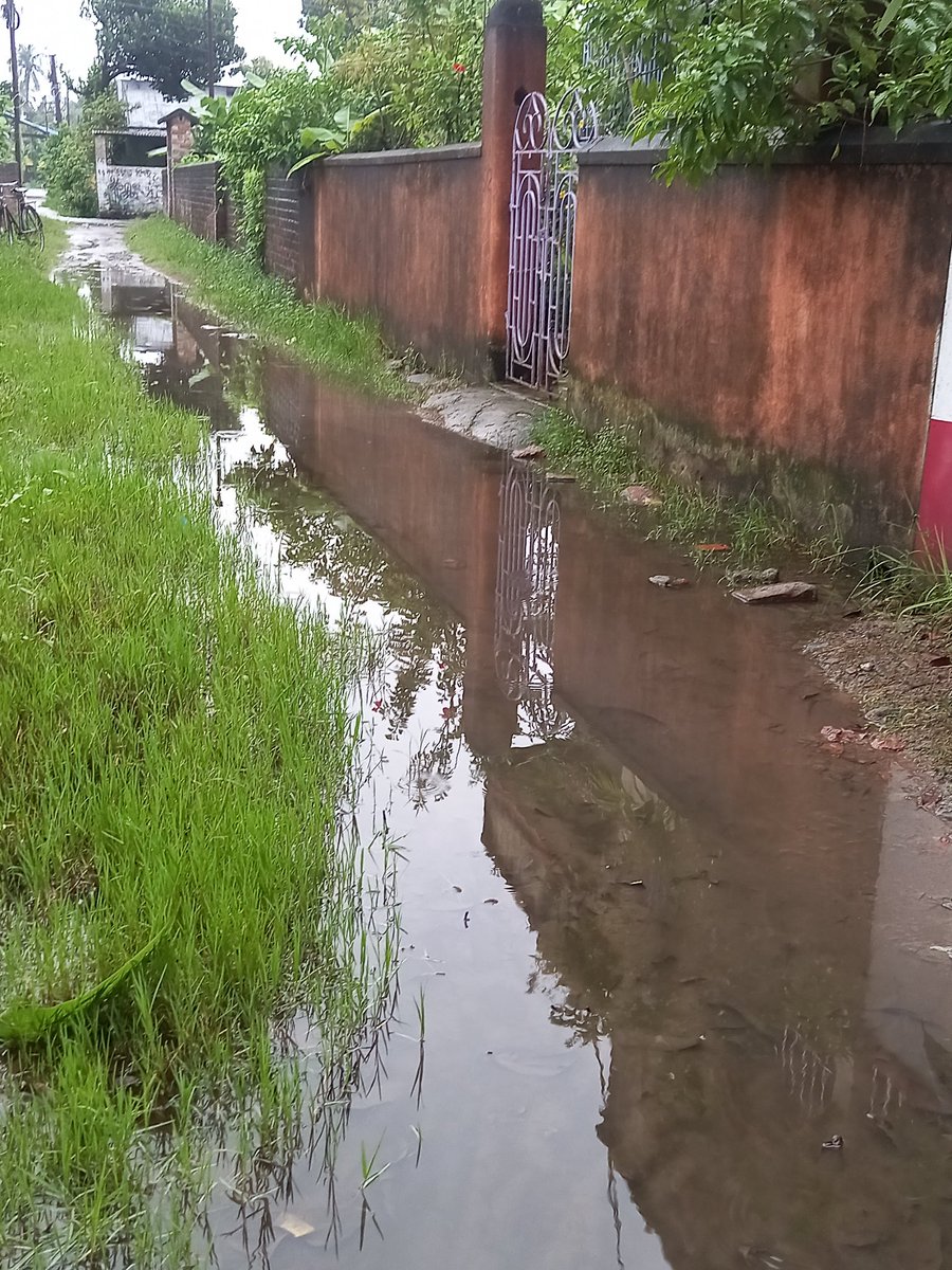 sumantasharmax's tweet photo. please help,North 24 pgs,Bhatpara municipality 23 no https://t.co/I01ZbGfWi8 drainage and road since past 8 years.pathetic condition. Need your help urgently - we are fed up to ping Ripitatively Mr. Counselor.
@MamataOfficial 
@BanglarGorboMB 
@SomnathShyam https://t.co/GfOkPDGDjy