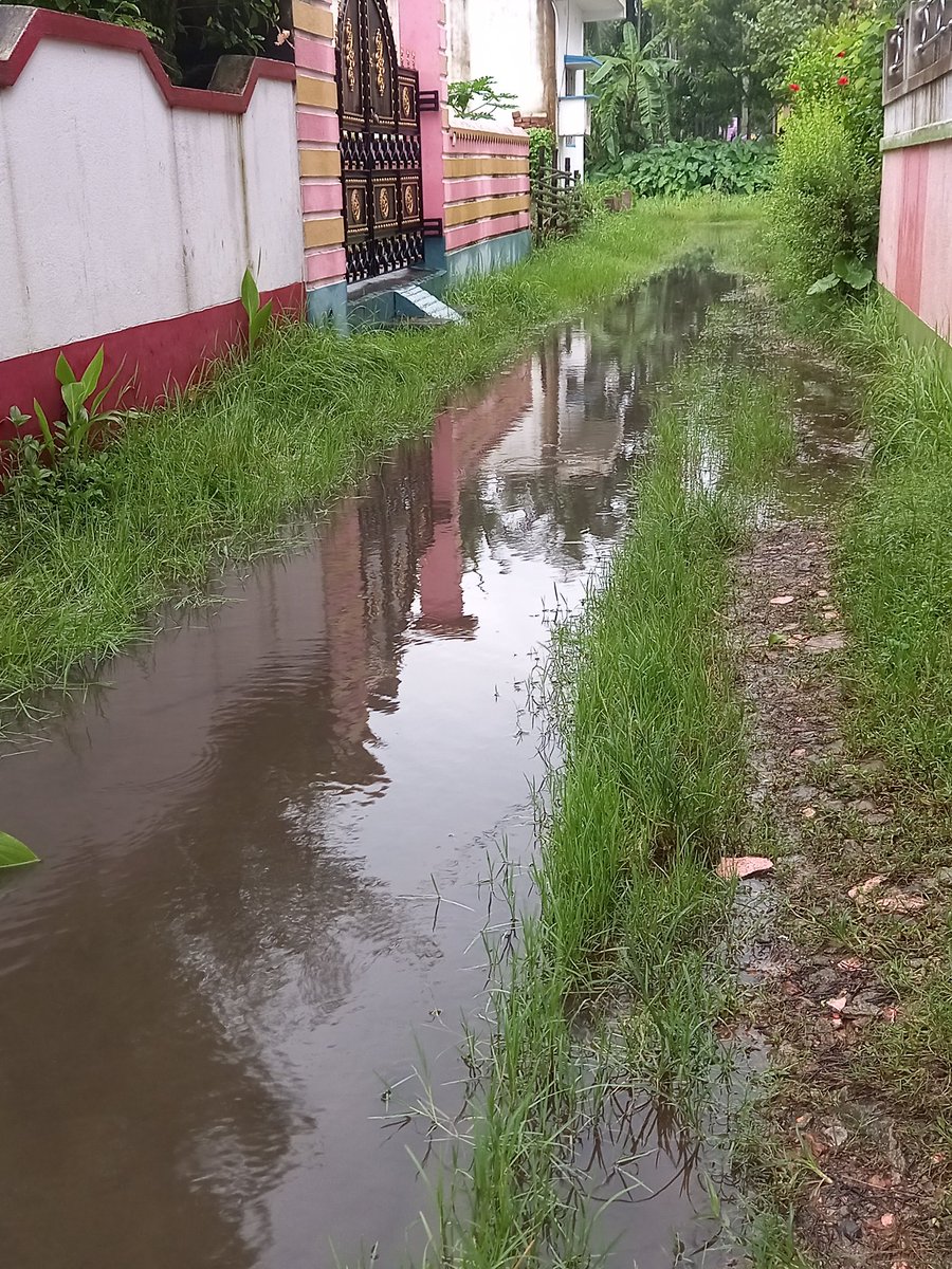 sumantasharmax's tweet photo. please help,North 24 pgs,Bhatpara municipality 23 no https://t.co/I01ZbGfWi8 drainage and road since past 8 years.pathetic condition. Need your help urgently - we are fed up to ping Ripitatively Mr. Counselor.
@MamataOfficial 
@BanglarGorboMB 
@SomnathShyam https://t.co/GfOkPDGDjy