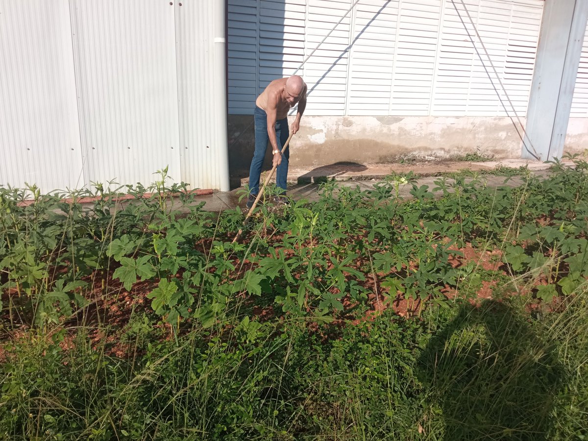 filialmatanzas's tweet photo. Los trabajadores de Copextel Varadero tuvieron la iniciativa de crear un huerto en las áreas exteriores para el autoconsumo.
"Si el hombre sirve, la tierra sirve"
José Martí
#Copextel32
#Copextel
#CopextelVaPorTodo
#Matanzas330
#MatancerosEnVictoria https://t.co/BG28kwwVpa