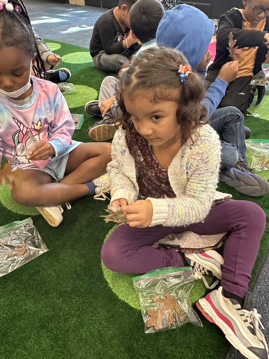 MSSjaguars's tweet photo. Ms. Whitney’s class used their Wit and Wisdom knowledge to notice signs of Autumn. We observed our fall artifacts and used our five senses. https://t.co/uVKeAjRLx0