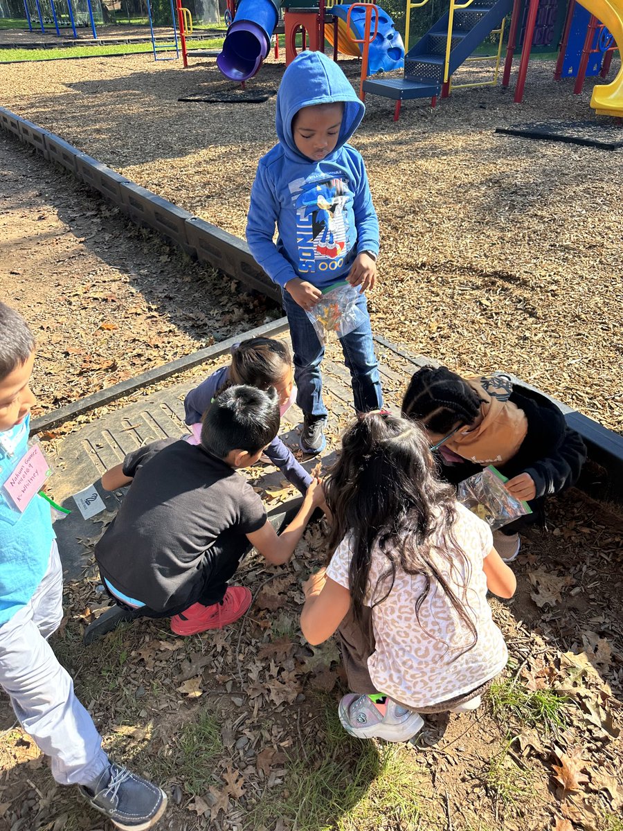 MSSjaguars's tweet photo. Ms. Whitney’s class used their Wit and Wisdom knowledge to notice signs of Autumn. We observed our fall artifacts and used our five senses. https://t.co/uVKeAjRLx0