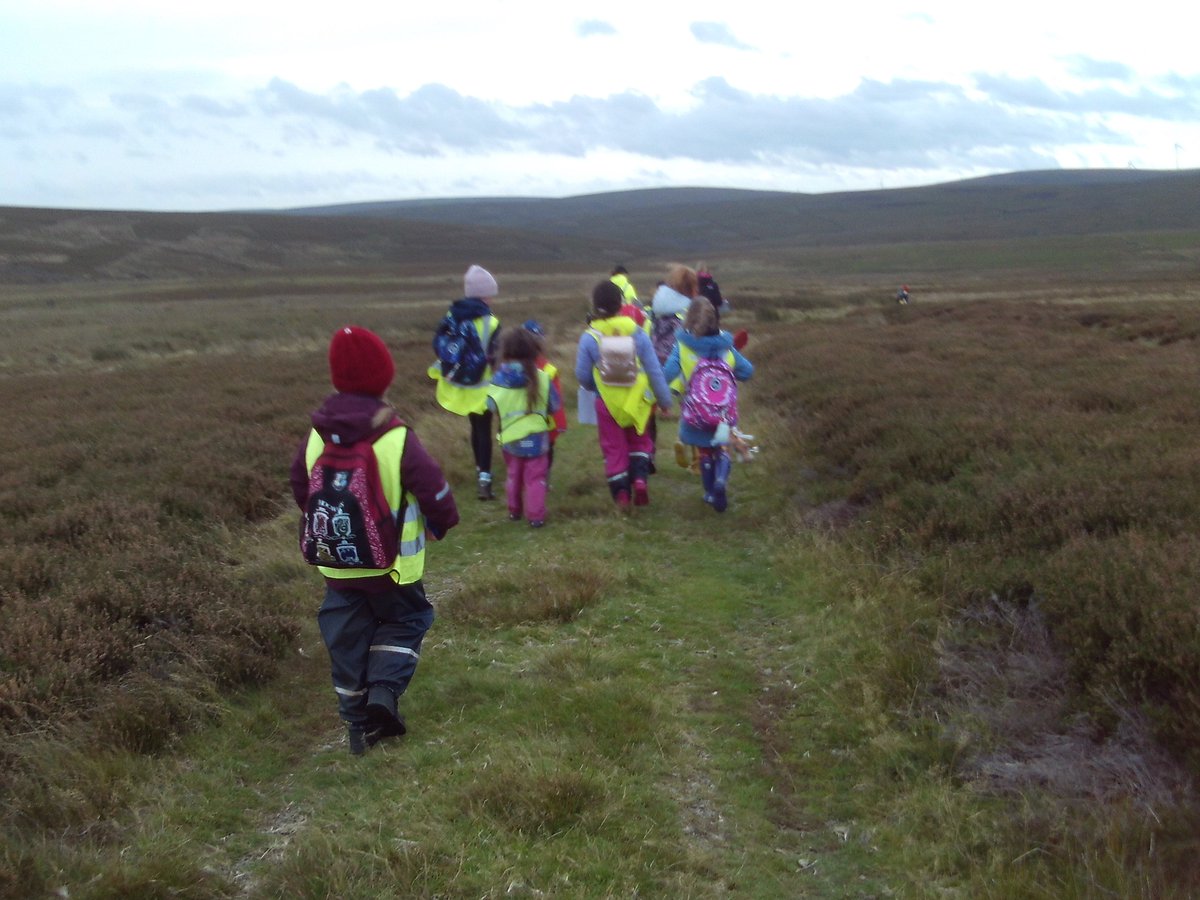 Stenton Primary tweet media