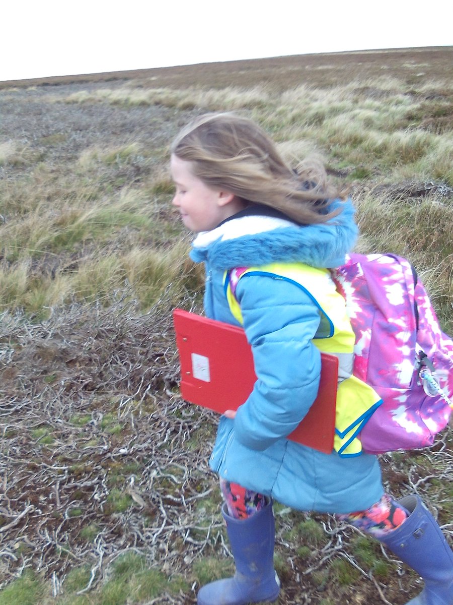 Stenton Primary tweet media