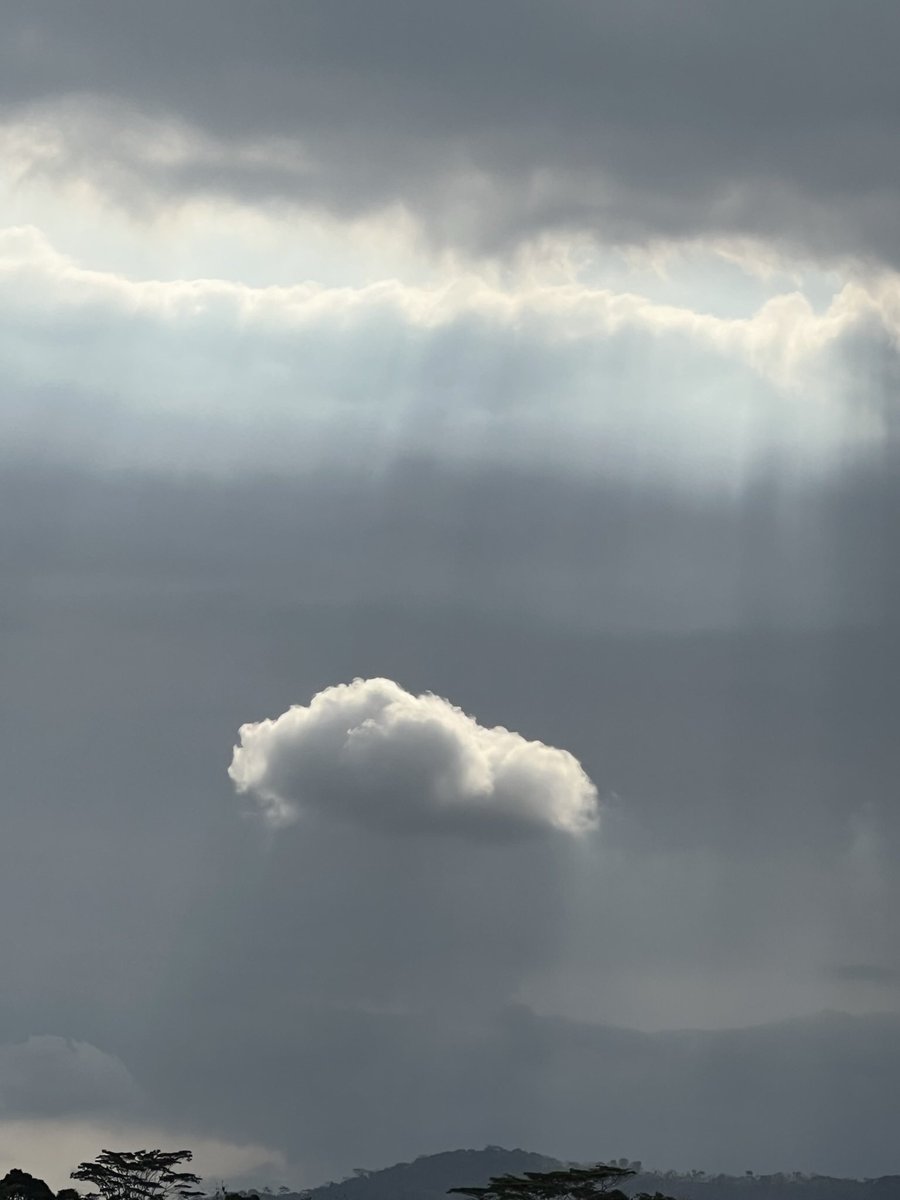 ᗰ ᘔ K ᑌ ᑎ tweet media