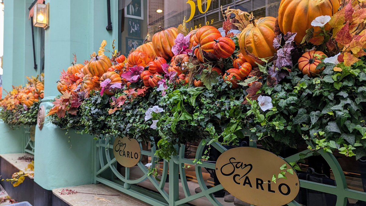 cesarbul's tweet photo. The seasonal transformation of San Carlo #Manchester is underway @SanCarlo_Group 
@MENnewsdesk https://t.co/3EOoLWQTmh