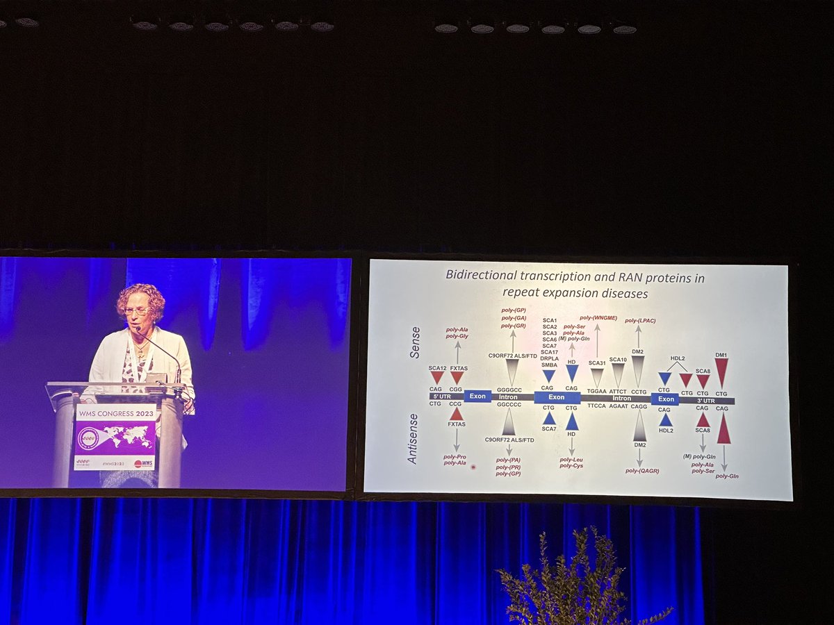 TLiewluck's tweet image. #WMS2023 RAN translation in c9orf72 #ALS #FTD by Laura Ranum.