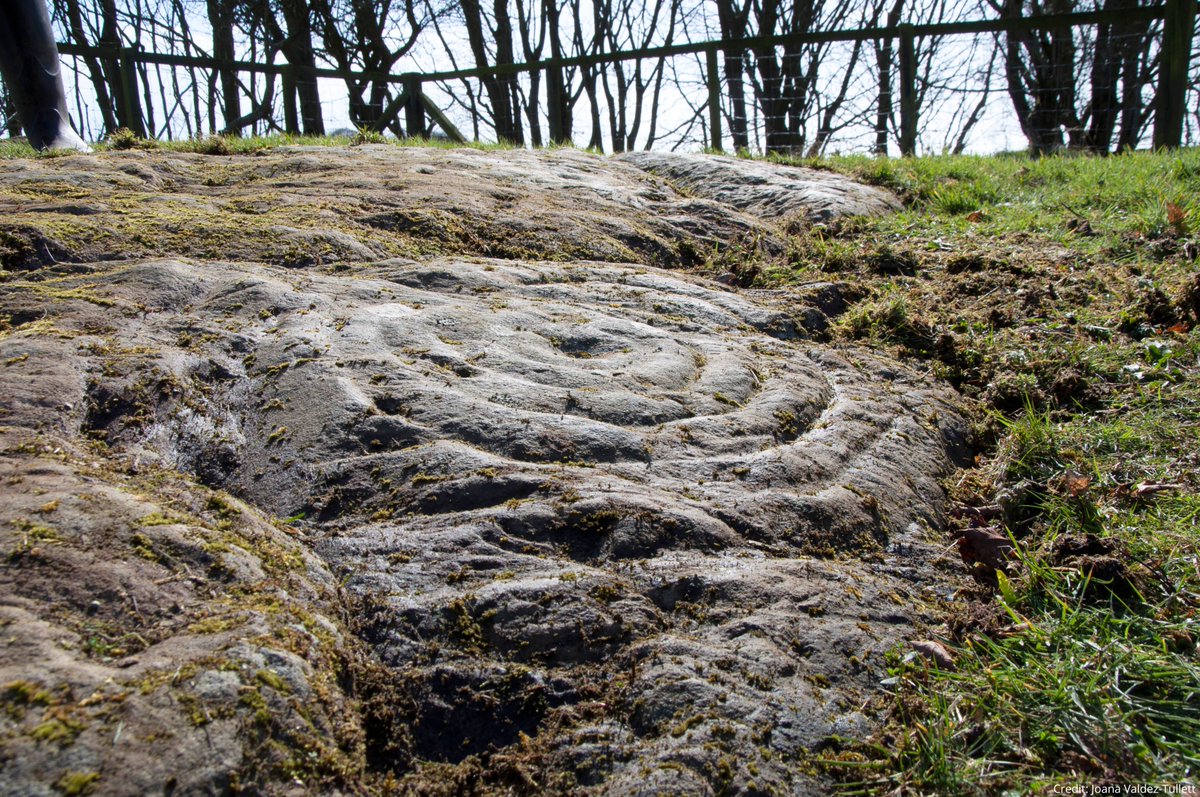 Over 4,000 years ago, people carved cup-marks, rings and other symbols onto open-air outcrops and boulders across Scotland - but why? 🎨 On 12 October, join @socantscot and @JoanaValdez to discover more about rock art and its importance to past societies: bit.ly/October23Lectu…