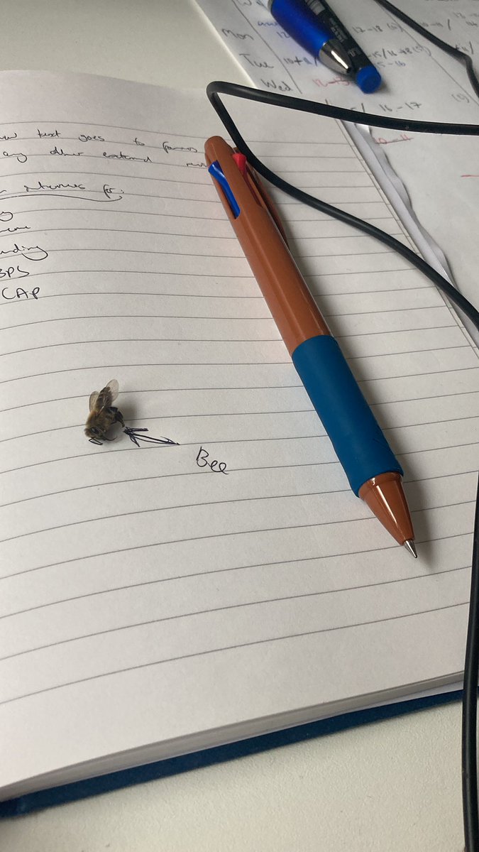 Great science begins with taking detailed and insightful notes