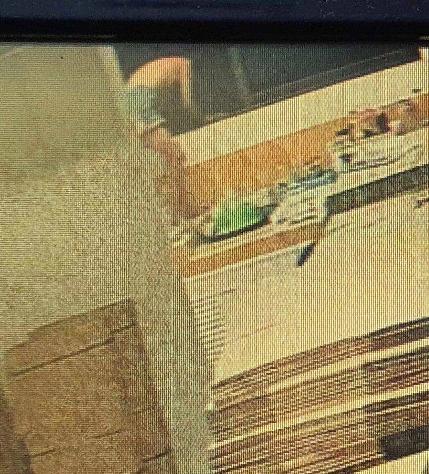 ลูกเพจขอความช่วยเหลือมาดังนี้
สวัสดีครับจ่า มีเคสโจรเด็กอายุ 9 ปี บุกปีนบ้านผม📷 ขโมยเงินไป 33,400 บาท ตำรวจทำอะไรไม่ได้เพราะมีกฎหมายคุ้มครองเด็ก 📷📷 โจรไม่ต้องรับโทษอะไรเลย
วันที่ 12 มีนาคม ปีนี้ผมโดนโจรเด็กอายุ 9 ปี บุกปีนบ้านตอนกลางคืน📷 ขโมยเงินสดไป 33,400 บาท