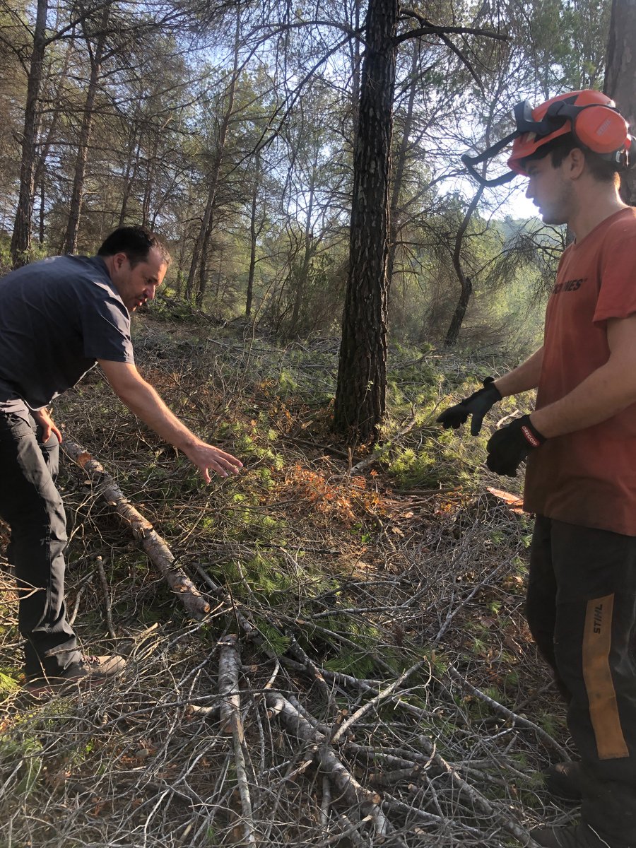 ✨Aquest matí hem estat a #Viladecavalls on la nostra colla #forestal 🌳 de la #formaciodual està fent treballs de prevenció d'#incendis 🔥 per l'#apforestal #entornsdemontserrat aprofitant els fons #nextgeneration gràcies a <a href="/cpforestal/">CPF</a> i <a href="/accioclimatica/">Assemblea d'acció climàtica</a>. Gran feina dels #joves!