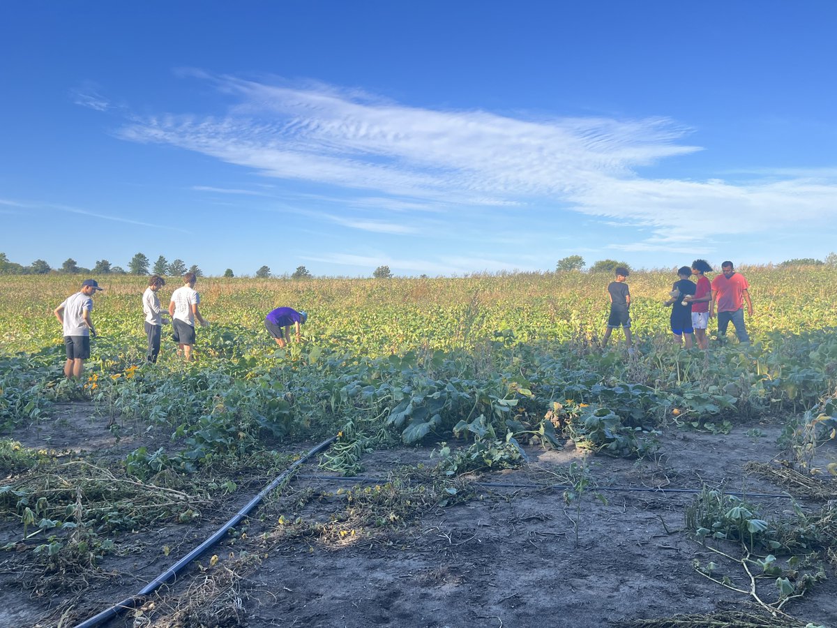 FALL is here and & the Boys are ready to get buckets!!! LNW Boys Basketball team was thrilled to help out at Roca picking pumpkins this past weekend. #Falconbasketball #takeoff #Lincoln