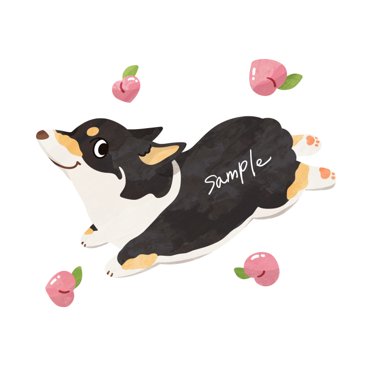 ganechami's tweet image. ココナラにてご依頼いただきました！コーギーはやっぱり可愛いぞ！ありがとうございました。
#ココナラ #イラスト