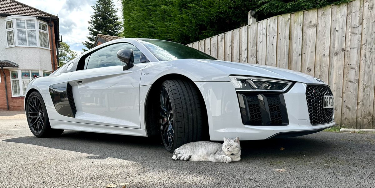 ONSCREEN tweet media