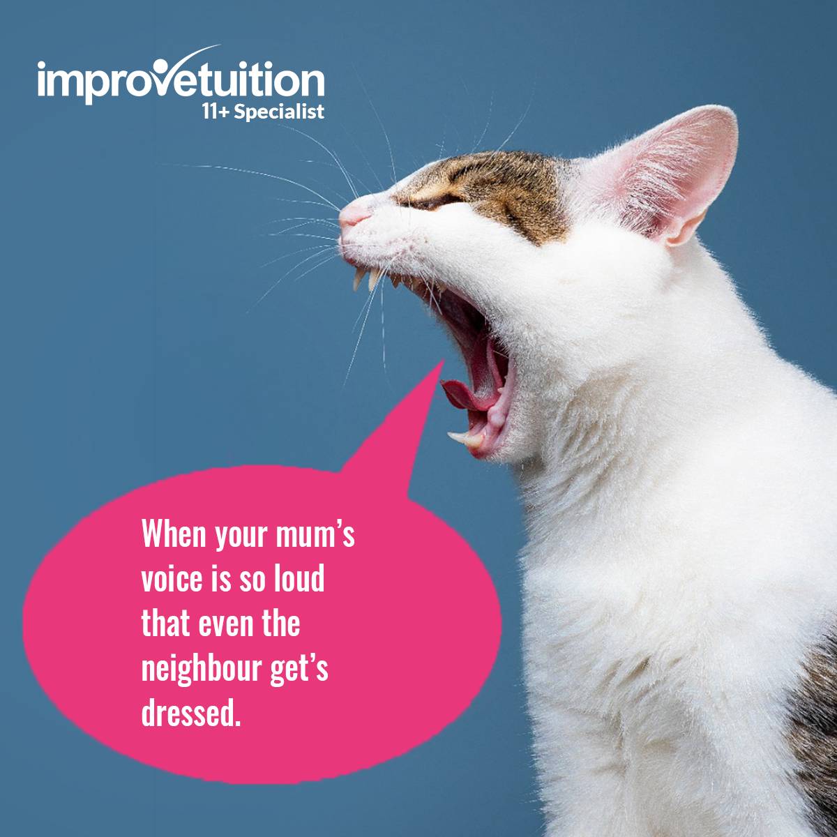 ImproveTuition's tweet photo. What's your experience?

#mom #mum #mums #moms https://t.co/FSkKVr6nBF