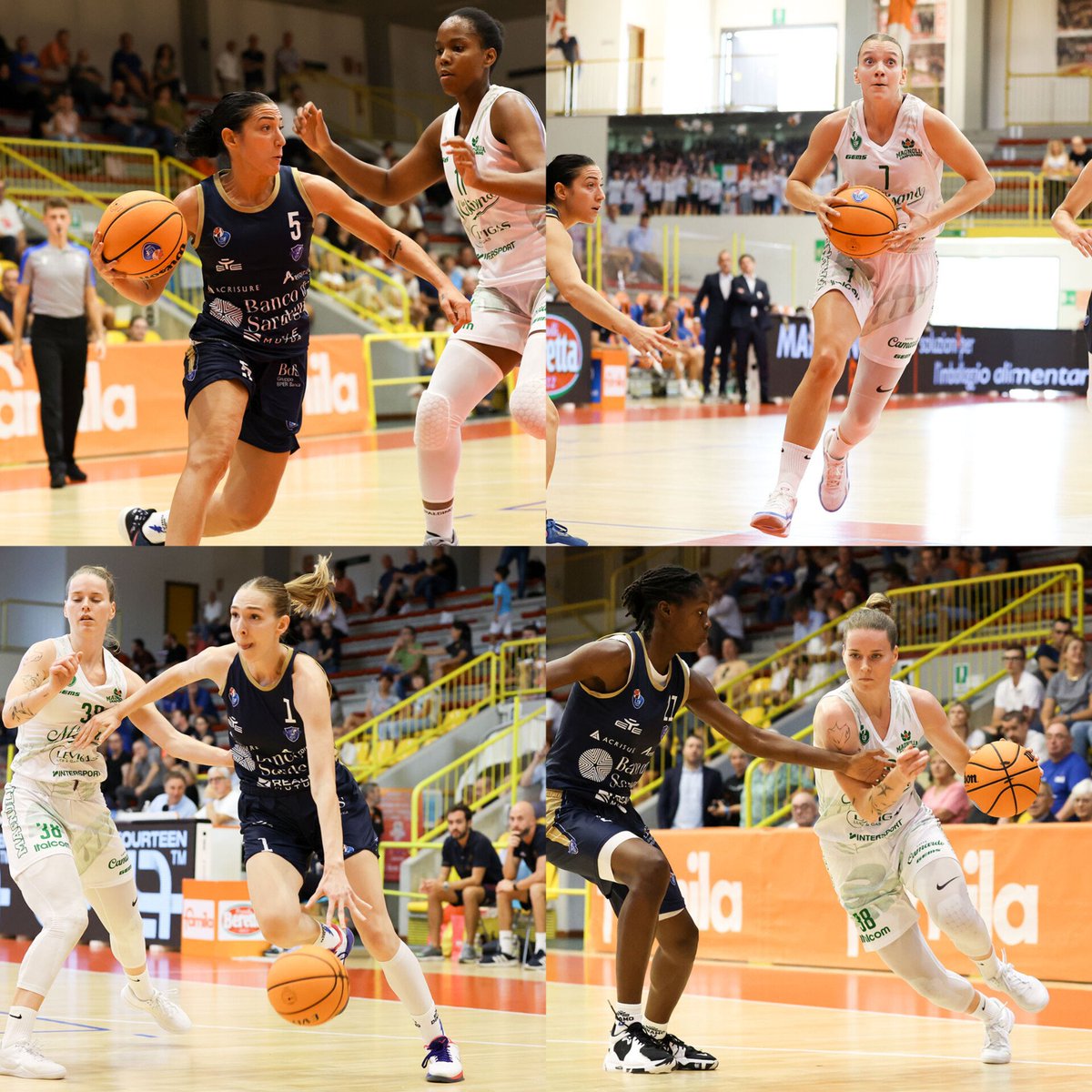 Basket tras-Parente tweet media