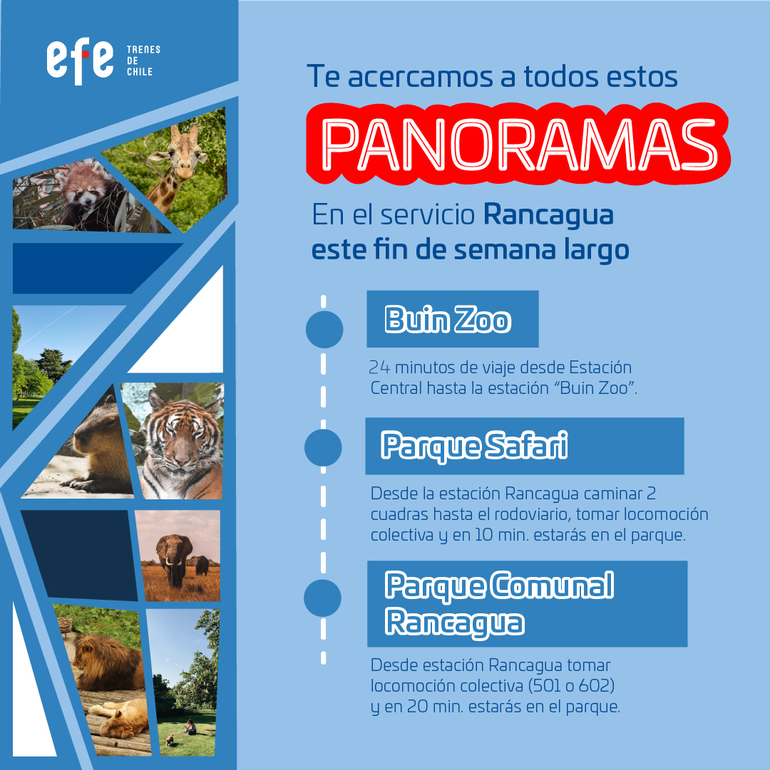 EFE_Rancagua's tweet photo. 🚄🌟 ¿Listo para un #SuperFinde lleno de diversión?
#EFERancagua te lleva a los mejores panoramas, incluyendo el Buin Zoo, el Parque Safari y el Parque Comunal de Rancagua.
¡Aprovecha tus días libres para vivir aventuras inolvidables! 🦁🐒🚆 https://t.co/vqvzlHv7lE