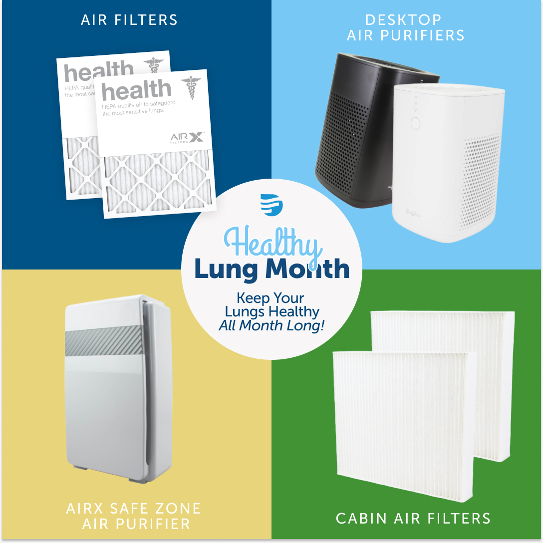 DiscountFilter's tweet photo. Unlock the power of #cleanair with our fantastic four! 🌬️✨ This October, we're all about #healthylungs, and these top-notch products are here to help you #breatheeasier 💨 Say goodbye to pollutants and hello to healthier lungs! 🍃🌟  
#DiscountFilters https://t.co/CZBi0GfbHZ