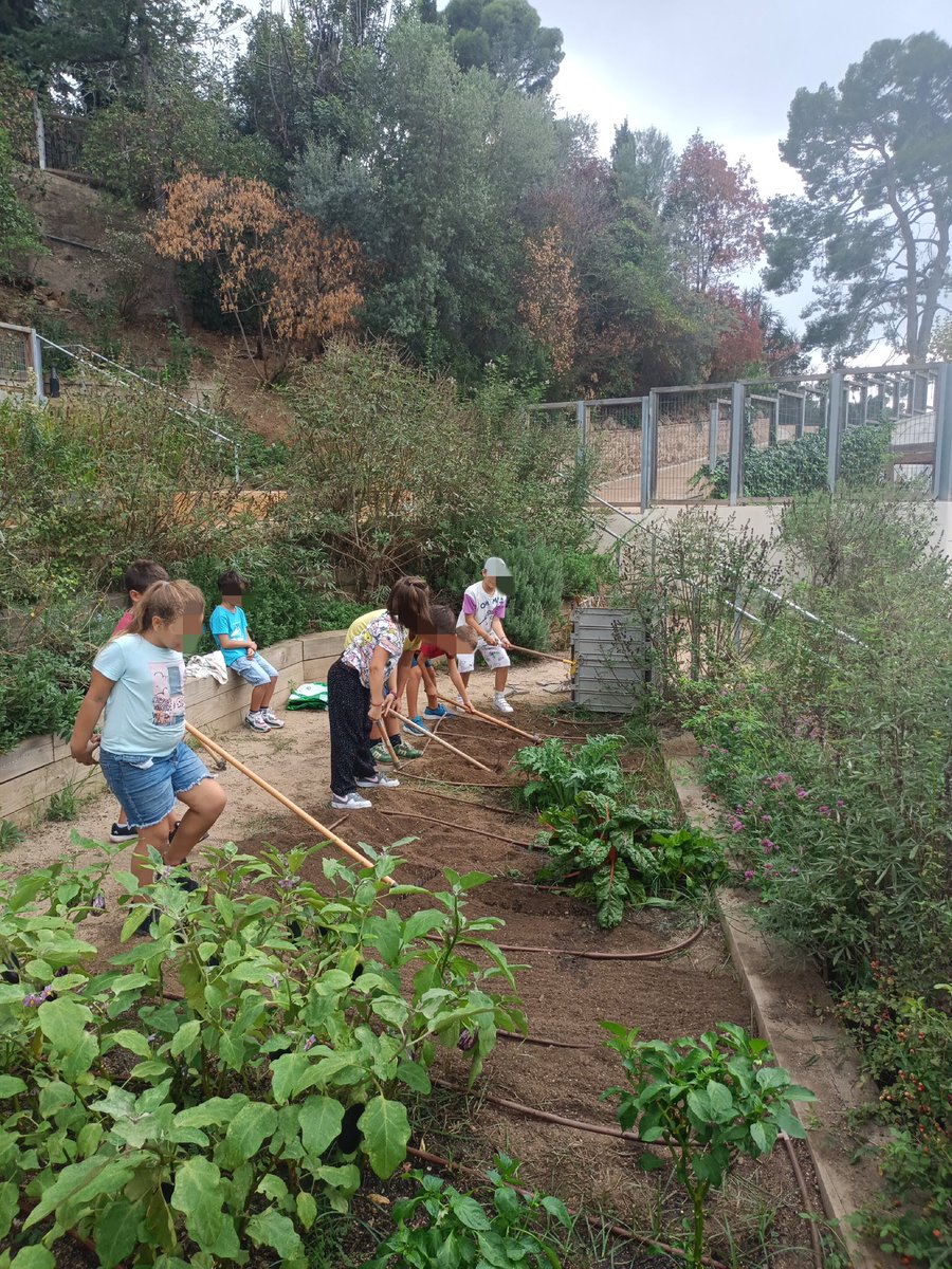 lafarigoladeval's tweet photo. Els infants de 3r preparem la terra per sembrar al nostre #hort del @boscturull https://t.co/wQCqziQwuK