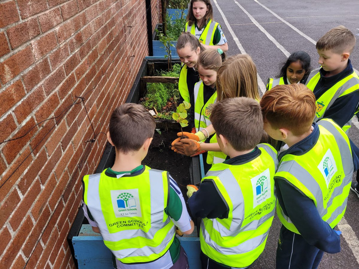 BunscoilC's tweet photo. 🌳Happy National Tree Day🌳
Here is a snippet of some of the lovely art work the boys and girls created today🌳🌿🍂🍃🍁
Thanks to Mr. O’ Donoghue and the Green Schools Committee for planting our new Hazel tree in the main yard! #nutsaboutnature @spar_ireland @GreenSchoolsIre https://t.co/2p5d9I4XKH