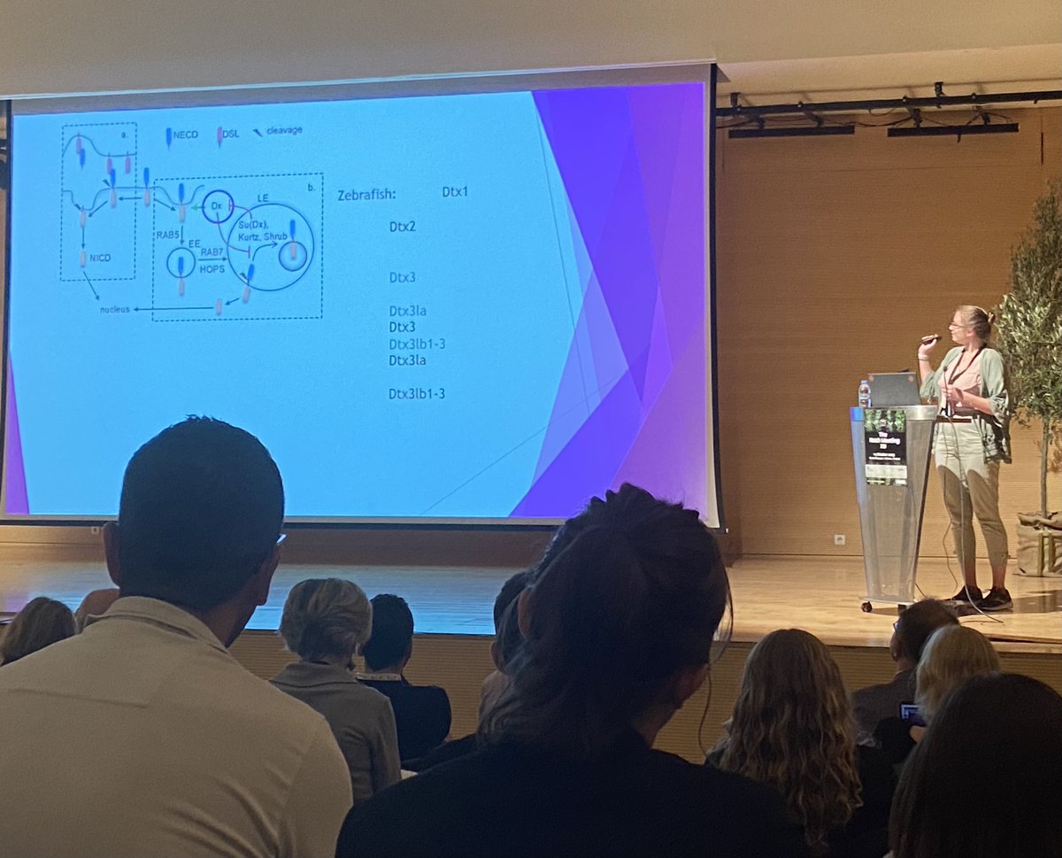 Martin Baron (@notchlab) on Twitter photo Congratulations to <a href="/notchlab/">Martin Baron</a> team Samira Hosseini, Raluca Revici, Fabienne Haslam & Rory Whiteford for excellent talks and posters at the Athens Notch meeting <a href="/SBS_Spotlight/">UoM SBS Research Spotlight</a> <a href="/FBMH_UoM/">UoM Biology, Medicine and Health</a> <a href="/EGS_UoM/">Evolution, Infection and Genomics (EIG) UoM</a> <a href="/OfficialUoM/">The University of Manchester</a> <a href="/TSA/">TSA</a> Congratulations to <a href="/notchlab/">Martin Baron</a> team Samira Hosseini, Raluca Revici, Fabienne Haslam & Rory Whiteford for excellent talks and posters at the Athens Notch meeting <a href="/SBS_Spotlight/">UoM SBS Research Spotlight</a> <a href="/FBMH_UoM/">UoM Biology, Medicine and Health</a> <a href="/EGS_UoM/">Evolution, Infection and Genomics (EIG) UoM</a> <a href="/OfficialUoM/">The University of Manchester</a> <a href="/TSA/">TSA</a>