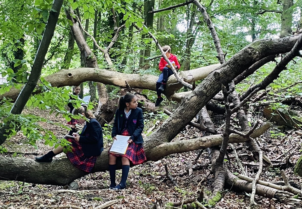 OPS_OratoryPrep's tweet image. Taking full advantage of our 65 acres of outdoor space, Year 6 have been out and about in the woods today with their English books to enhance their creative writing, focusing on the five senses.  

#English #UnlockLearning #OPSLearning
