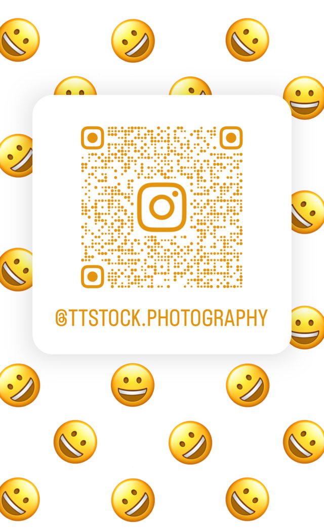 TTStock_Photos's tweet photo. Follow me on Instagram for great stock photography tips!
-
#SocialMediaManager #Designer #ArtDirector #CreativeDirector #images #stockphotographer #ProjectManager #art #StudioManager #Creative #PictureEditor #photos https://t.co/PCVoQJJnKo https://t.co/dvwcRgVCBz