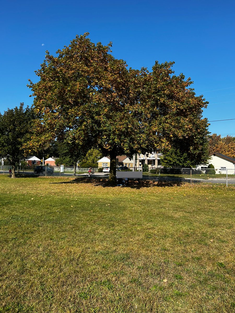 A nature walk for our upcoming nature collage. Was great to get outside and explore some of the plants on our yard! <a href="/KnollwoodPark1/">Knollwood Park P.S.</a>