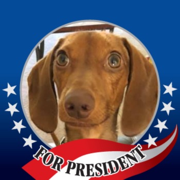 nd_joyce's tweet photo. Also, Gus for President. 

#GusBus2024 https://t.co/Mq3g4nauoA
