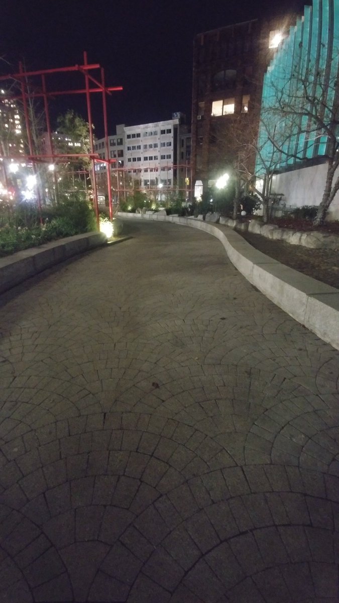 We recently completed major lighting updates in Chin Park - take a look at these before and after photos! The upgrades focused on safety and community, and were informed by community feedback and our lighting study supported by #GreenwayBID.
📷:Chris Rucinski and Greenway Staff