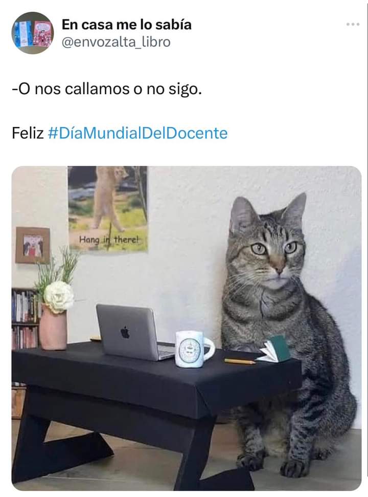 Lidia Mañoso Pacheco tweet media