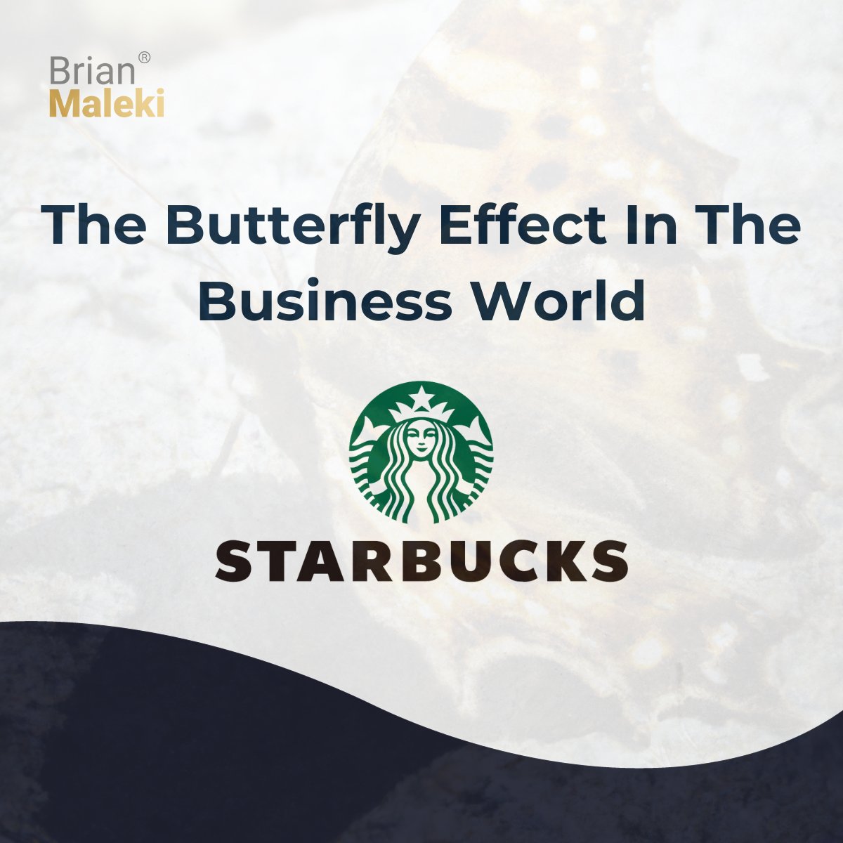 brian_maleki's tweet photo. The Butterfly Effect in the Business World.
Sometimes small changes in a situation can lead to big changes in the final result.

Here 5 remarkable examples:

𝟏. 𝐒𝐭𝐚𝐫𝐛𝐮𝐜𝐤𝐬 𝐎𝐟𝐟𝐞𝐫𝐞𝐝 𝐖𝐢-𝐅𝐢
The small decision to offer free Wi-Fi to their customers shot Starbucks’ popularity through the roof.

-Increased foot traffic
-A bolstered reputation
-Longer customer visits

A brilliant business decision that didn’t seem big, but ended up colossal.

𝟐. 𝐀𝐝𝐢𝐝𝐚𝐬 & 𝐏𝐮𝐦𝐚
Brothers Adolf and Rudi ran a successful shoe company in the 1920’s.

But when both brothers and their wives got into a fight, things turned sour.
Both brothers vowed to outdo each other and launched new companies.

• Adolf: Adidas.
• Rudi: Puma.

The rest is history.

𝟑. 𝐇𝐢𝐭𝐥𝐞𝐫 𝐆𝐨𝐭 𝐑𝐞𝐣𝐞𝐜𝐭𝐞𝐝
The Academy of Fine Arts in Vienna rejected Adolf Hitler’s application, twice.

Experts say this rejection triggered his transformation from artist to madman...
Forget business history, this one rejection changed the course of HUMAN history.

𝟒. 𝐄𝐦𝐩𝐥𝐨𝐲𝐞𝐞𝐬 𝐁𝐞𝐡𝐚𝐯𝐢𝐨𝐮𝐫
Treating employees well and creating a positive work culture can lead to better customer service and a positive impact on customers.

𝟓. 𝐌𝐚𝐫𝐤𝐞𝐭𝐢𝐧𝐠 𝐂𝐚𝐦𝐩𝐚𝐢𝐠𝐧𝐬
Choice of advertising channels in a marketing campaign can significantly affect its success. A seemingly minor change in strategy can lead to a campaign's failure or success.

𝟔. 𝐈𝐊𝐄𝐀'𝐬 𝐅𝐥𝐚𝐭-𝐏𝐚𝐜𝐤 𝐅𝐮𝐫𝐧𝐢𝐭𝐮𝐫𝐞
IKEA's decision to sell flat-pack, do-it-yourself furniture allowed the company to reduce transportation costs and offer affordable furniture to a global market. This innovation in packaging and assembly revolutionized the furniture industry and contributed to IKEA's global success.

𝟕. 𝐍𝐞𝐭𝐟𝐥𝐢𝐱'𝐬 𝐒𝐡𝐢𝐟𝐭 𝐭𝐨 𝐒𝐭𝐫𝐞𝐚𝐦𝐢𝐧𝐠
n 2007, Netflix decided to shift its focus from renting DVDs by mail to streaming content online. This seemingly minor shift in business strategy revolutionized the entertainment industry, eventually leading to the decline of traditional video rental stores and the rise of streaming services. Netflix's decision to invest in original content further solidified its dominance.

#marketing #business #brianmaleki (Content # 43)