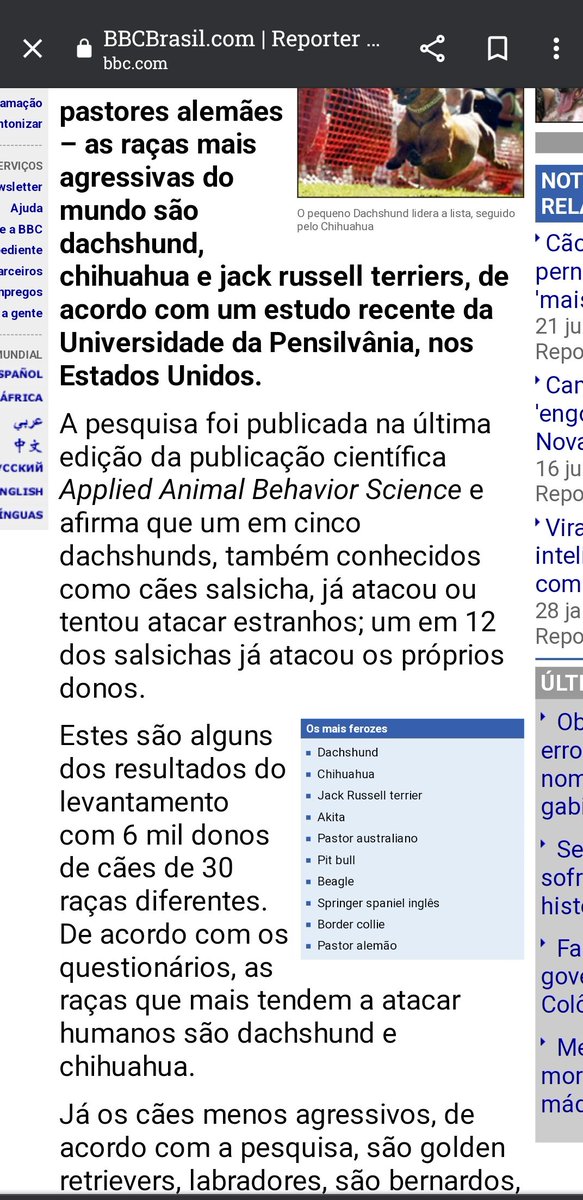 mia_hly's tweet photo. @otavi0XI O Pitbull é realmente o mais letal ? Ou simplesmente só noticiam quando o acidente envolve um Pitbull ?? https://t.co/UlYooK1K4P